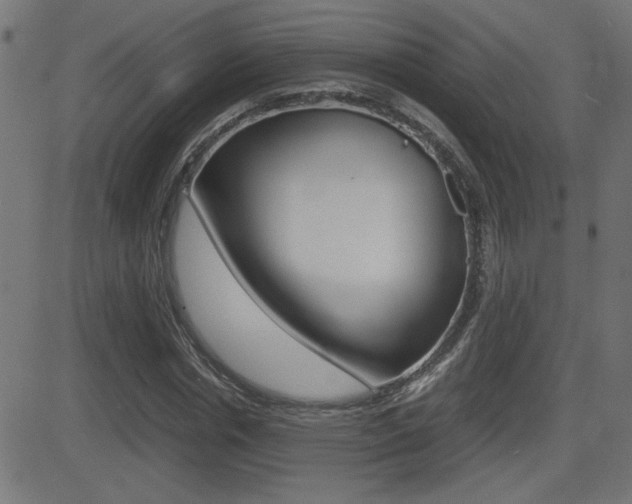 X0000081430826200701120917