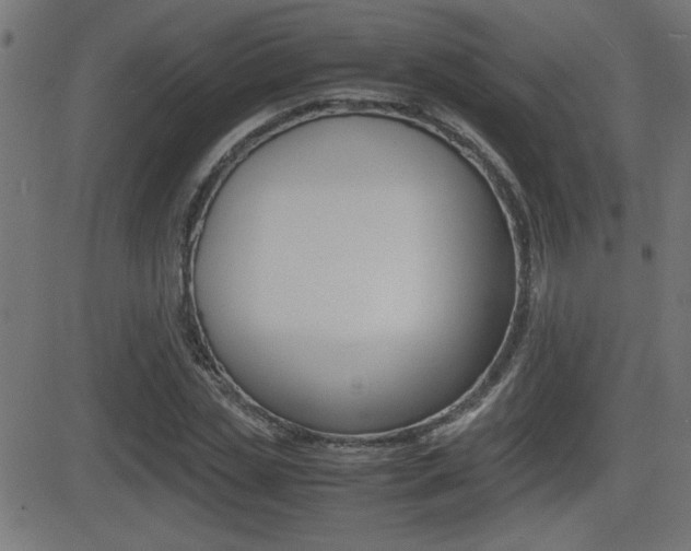 X0000081430829200701120917