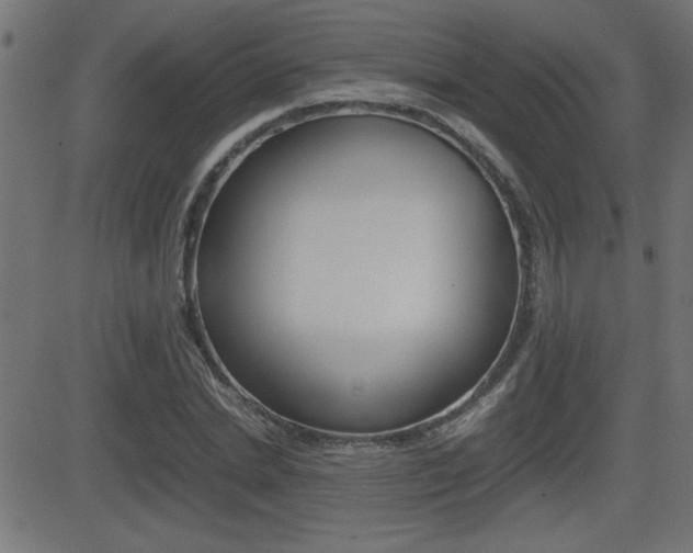 X0000081430830200701120917