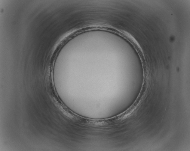 X0000081430831200701120917