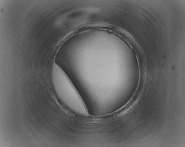 X0000081430833200701120917