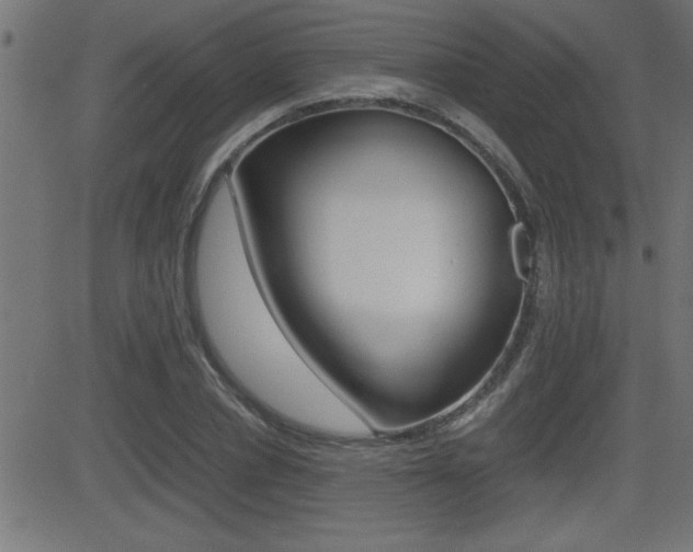 X0000081430834200701120917