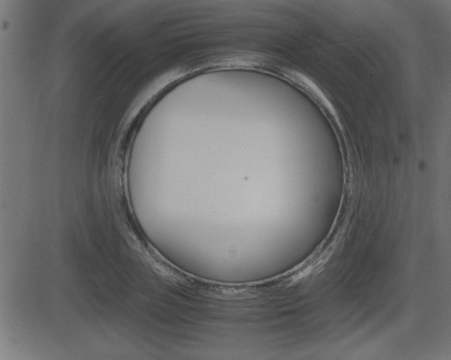X0000081430835200701120917