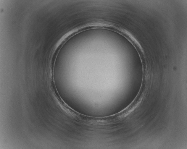 X0000081430837200701120917