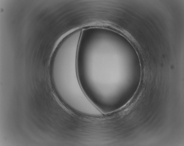 X0000081430838200701120917