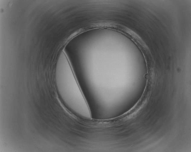 X0000081430841200701120917
