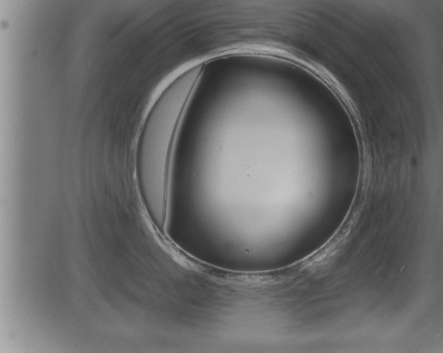 X0000081430862200701120917