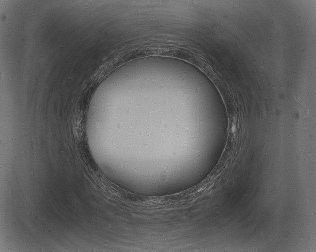 X0000081430867200701120916