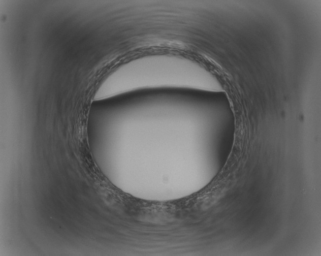 X0000081430869200701120916
