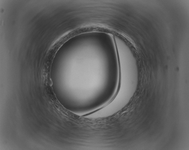 X0000081430872200701120916