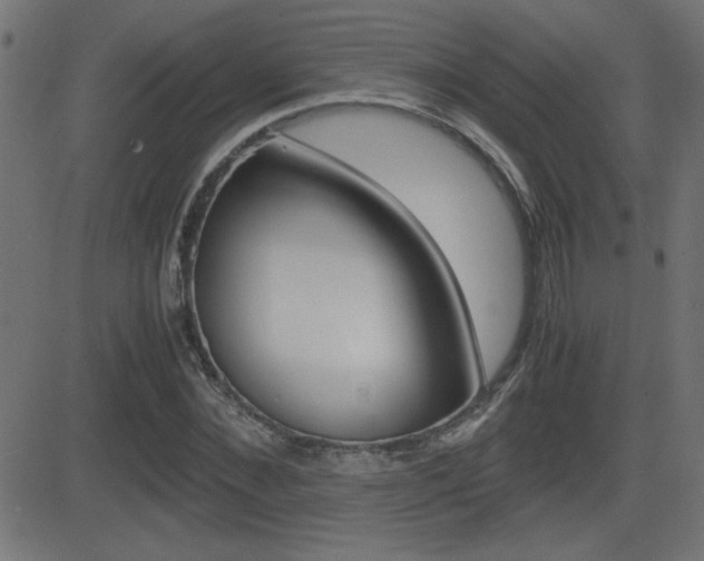 X0000081430876200701120916