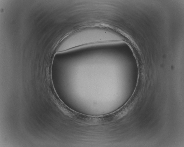 X0000081430881200701120916
