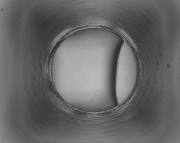 X0000081430883200701120916