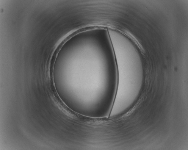 X0000081430884200701120916