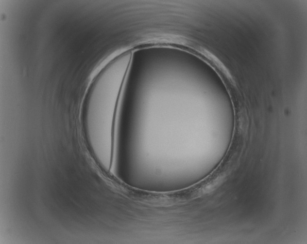 X0000081430885200701120916