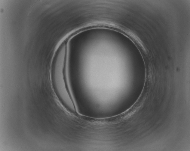 X0000081430888200701120916