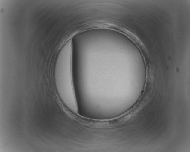 X0000081430889200701120916