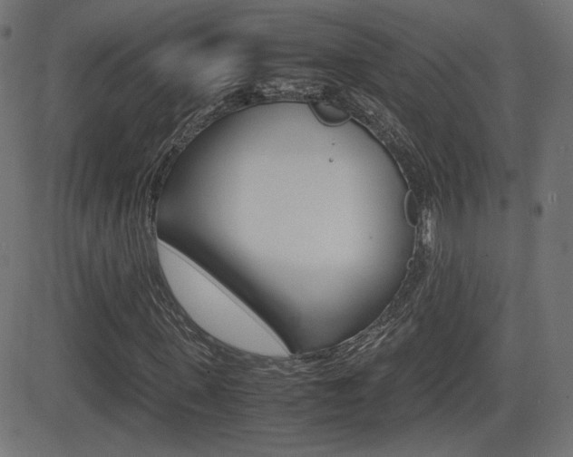 X0000081430915200701120915