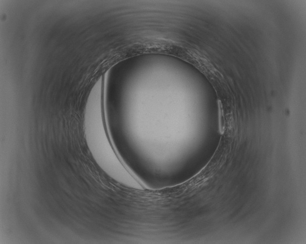 X0000081430916200701120915