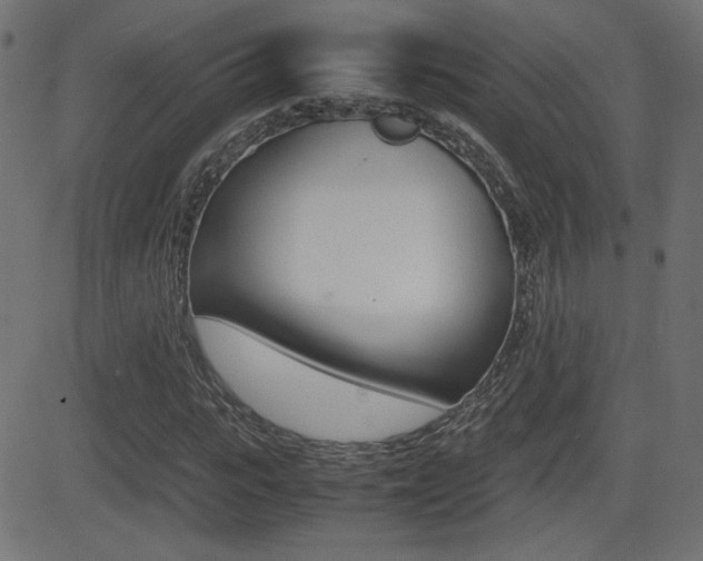 X0000081430919200701120915