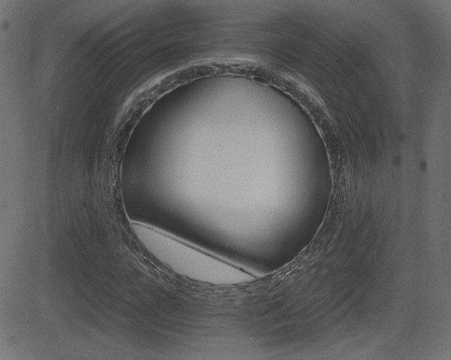 X0000081430920200701120915