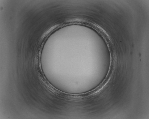 X0000081430921200701120915