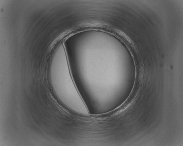 X0000081430922200701120915