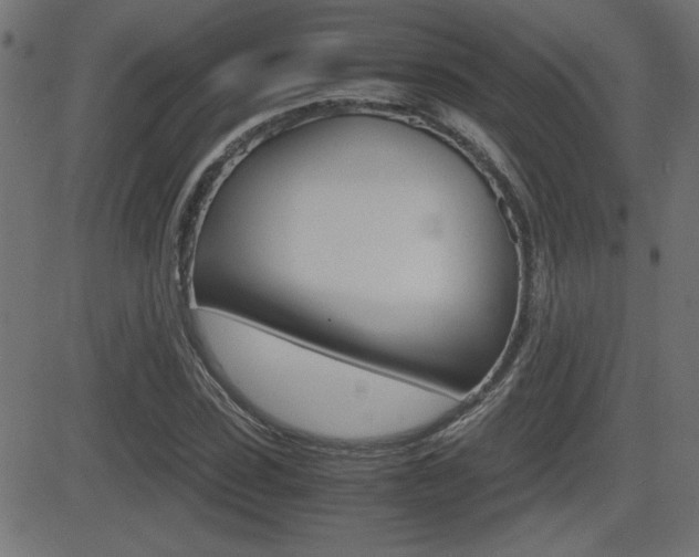 X0000081430923200701120915