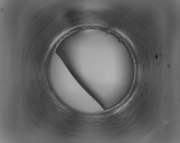 X0000081430925200701120915