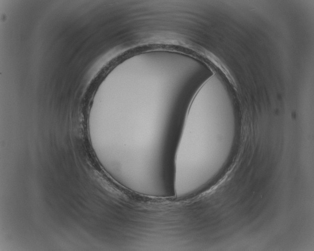 X0000081430926200701120915