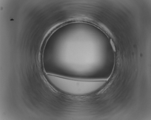 X0000081430932200701120915