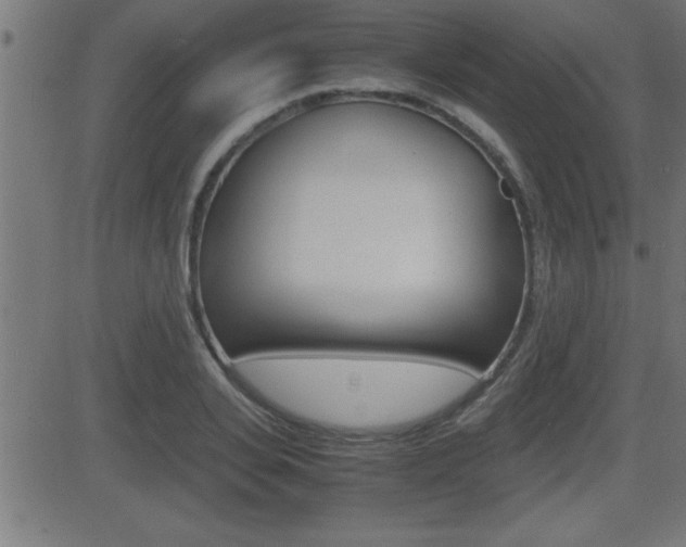 X0000081430935200701120915