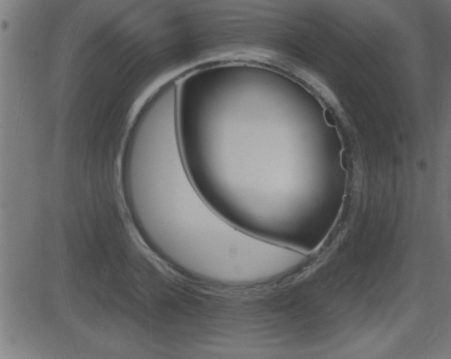 X0000081430936200701120915