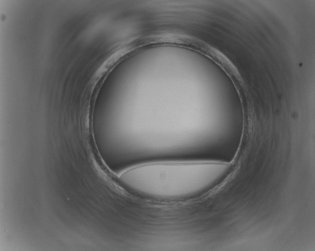 X0000081430938200701120915