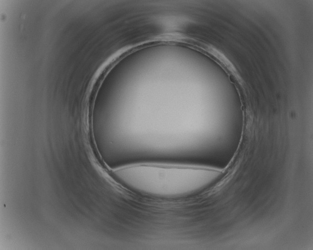 X0000081430939200701120915