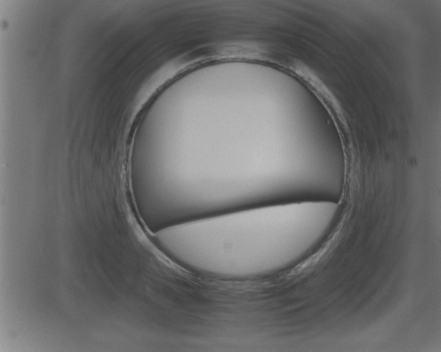 X0000081430941200701120915