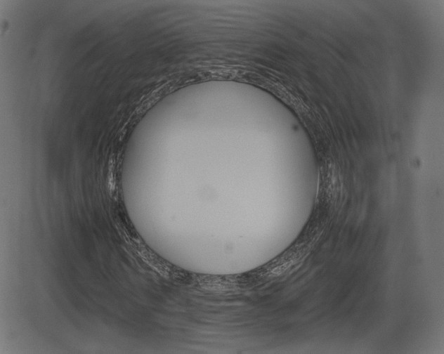 X0000081430962200701120915