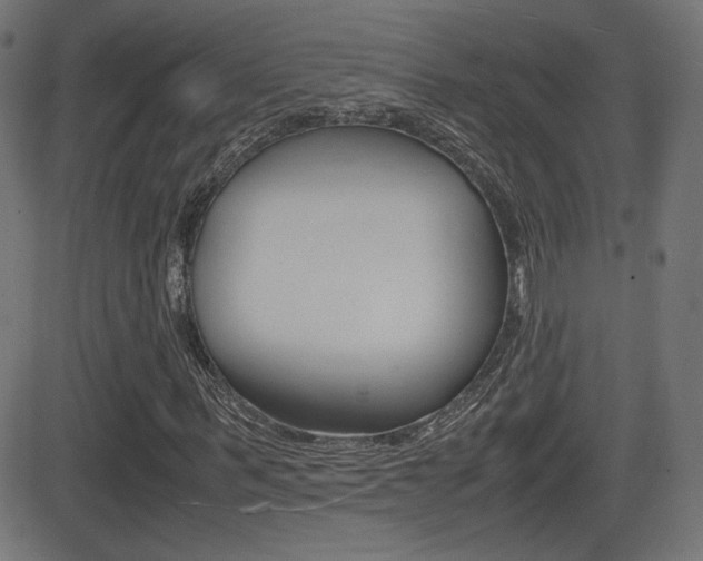 X0000081430963200701120915