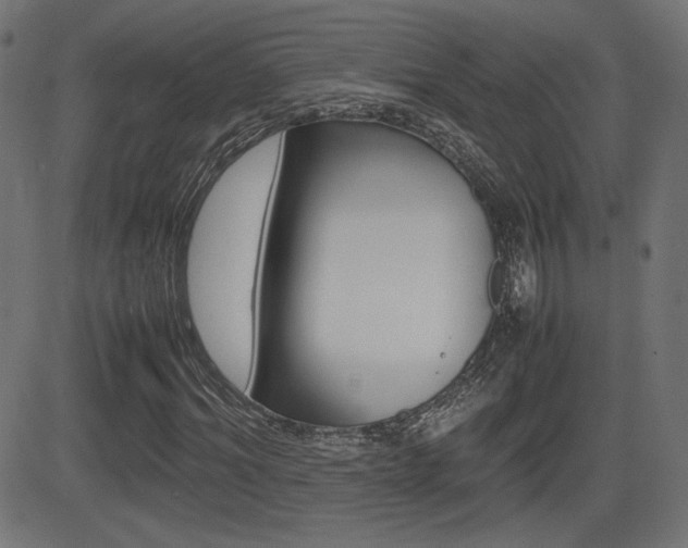 X0000081430964200701120915