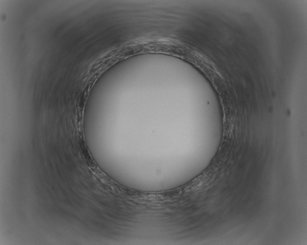X0000081430966200701120915