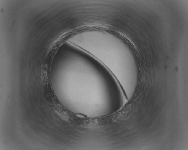 X0000081430968200701120915