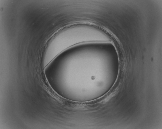 X0000081430969200701120915