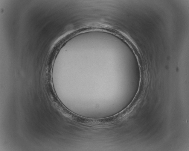 X0000081430971200701120915