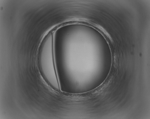 X0000081430972200701120915