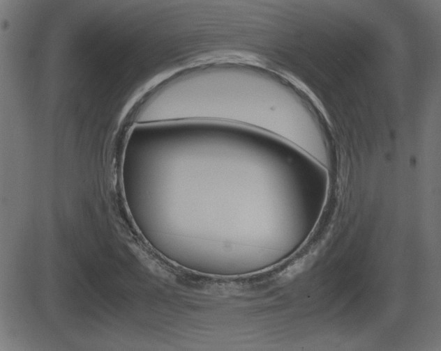 X0000081430973200701120915