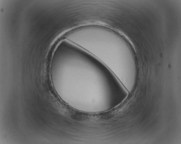 X0000081430975200701120915