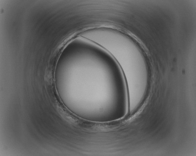 X0000081430977200701120915