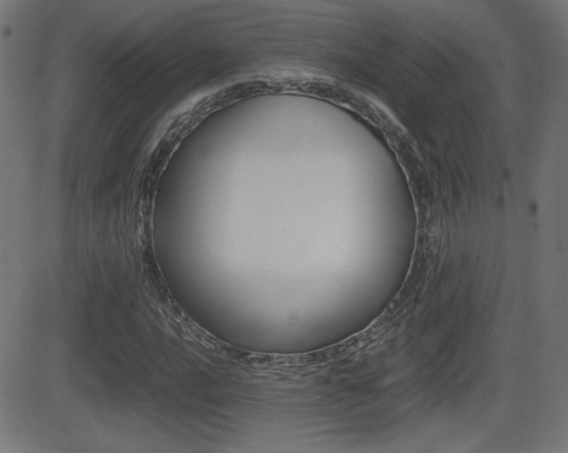 X0000081431016200701120913