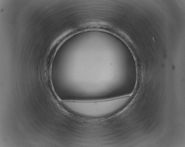 X0000081431018200701120913
