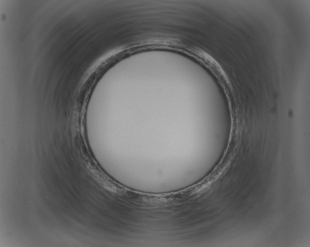 X0000081431019200701120914